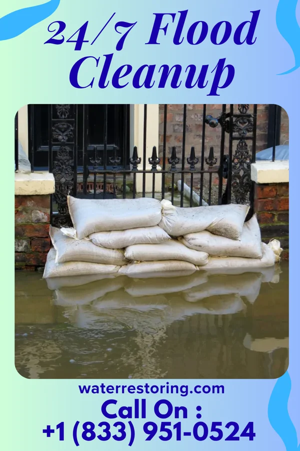 24/7 Flood Cleanup in Cottonwood, MN