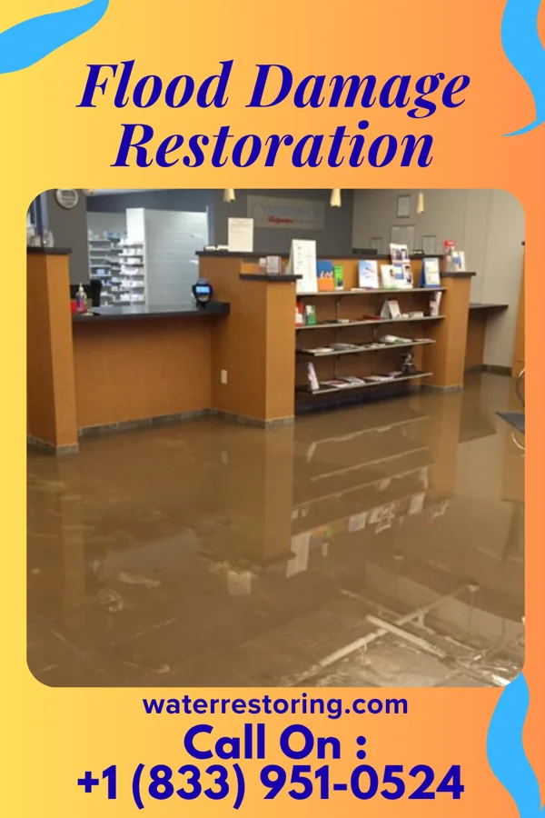 Flood Damage Restoration in Cottonwood, MN