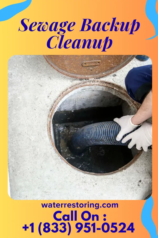 Sewage Backup Cleanup in Cottonwood, MN