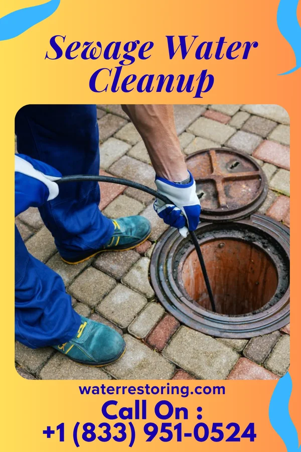 Sewage Water Cleanup in Cottonwood, MN